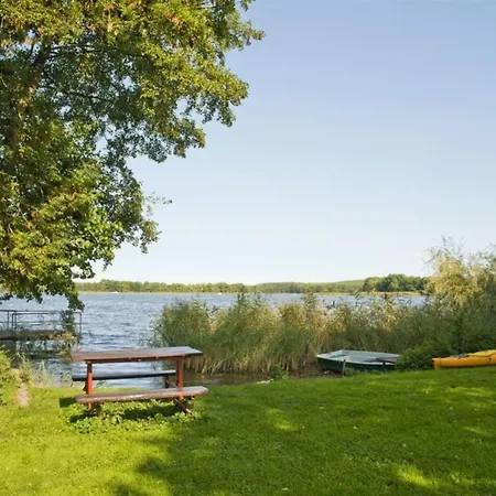 Anemone * Diemitz (Mecklenburgische Seenplatte)