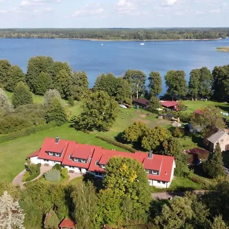 Anemone * Diemitz (Mecklenburgische Seenplatte)