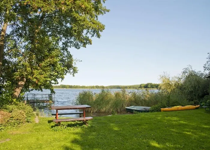 Anemone * Diemitz (Mecklenburgische Seenplatte)