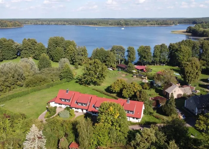 Anemone * Diemitz (Mecklenburgische Seenplatte)